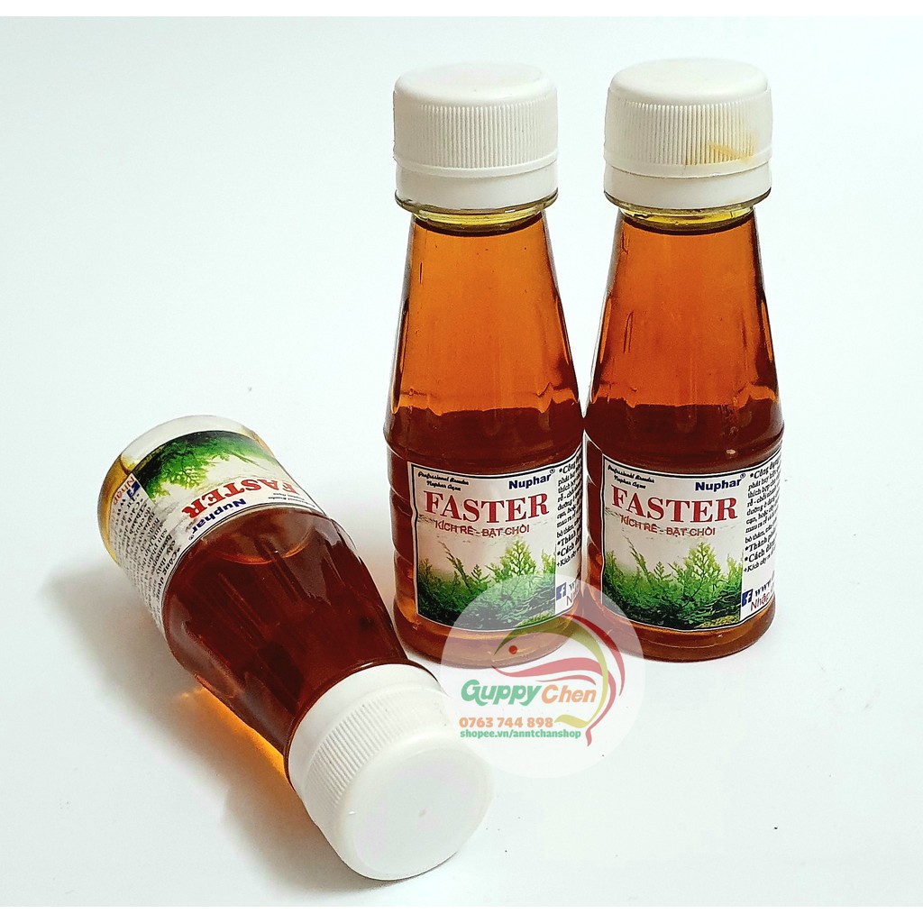 Phân nước kích rễ faster cho hồ thủy sinh