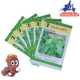 [HẠT GIỐNG RAU HÚNG THƠM XẢ - HẠT GIỐNG É TRẮNG] tỉ lệ nảy mầm cao.