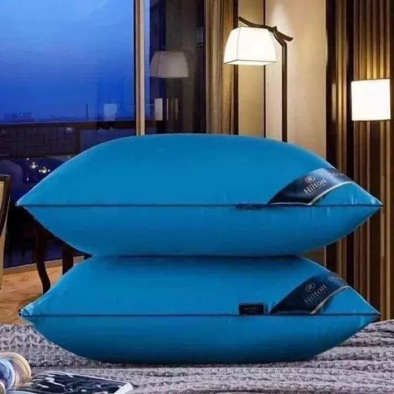RUỘT GỐI ÉP HÀNG CAO CẤP_HÀNG XUẤT DƯ