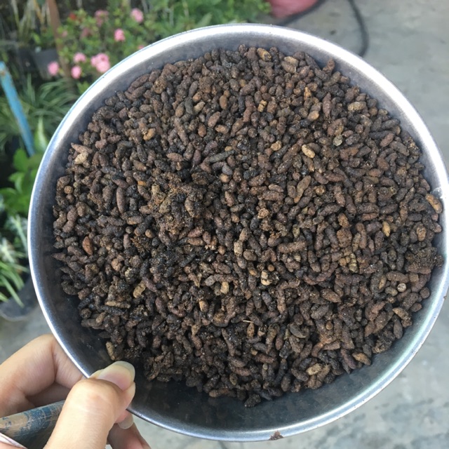 Phân Dơi Tự Nhiên Nguyên Chất