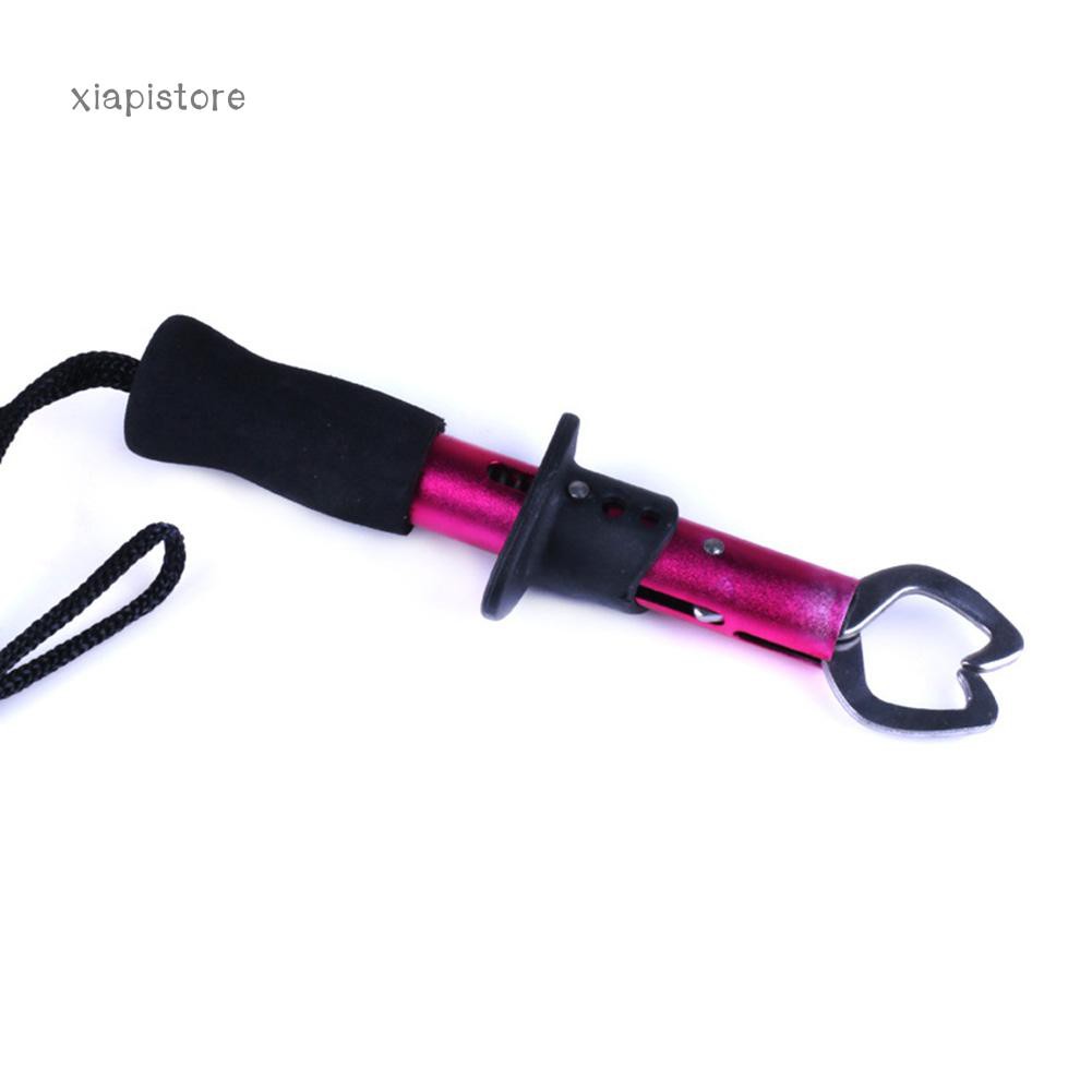 Dụng Cụ Kẹp Cá Mini 17Cm Bằng Thép Không Gỉ