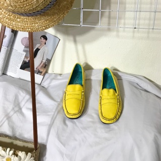 Combo giày áo