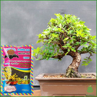 Phân Dơi Nguyên Chất Thuận Phát 75G