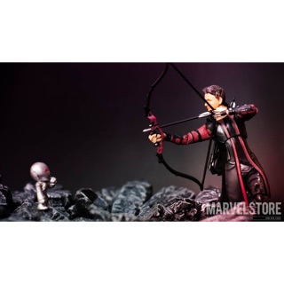 Mô hình hawkeye shf