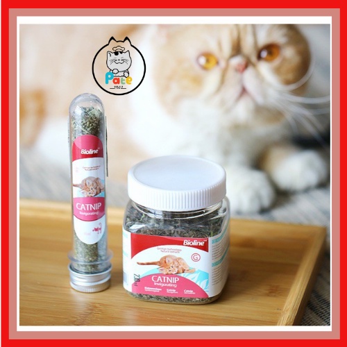 Cỏ Bạc Hà Catnip Cho Mèo - Cỏ Bạc Hà Mèo 45ML