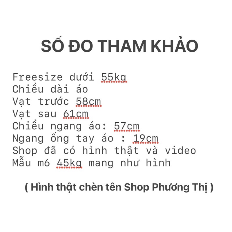 Áo sơ mi kẻ vạt bầu khuy sau - Áo sơ mi kẻ sọc nhỏ phong cách Hàn Quốc (video/sẵn)