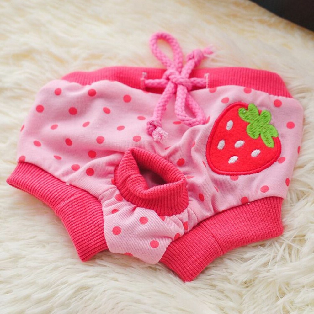 Quần Lót Sinh Lý Có Họa Tiết Đáng Yêu Cho Thú Cưng