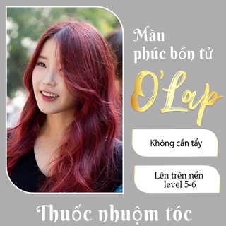 Thuốc nhuộm tóc phúc bồn tử không tẩy tại nhà giá rẻ chính hãng OLAP OL30
