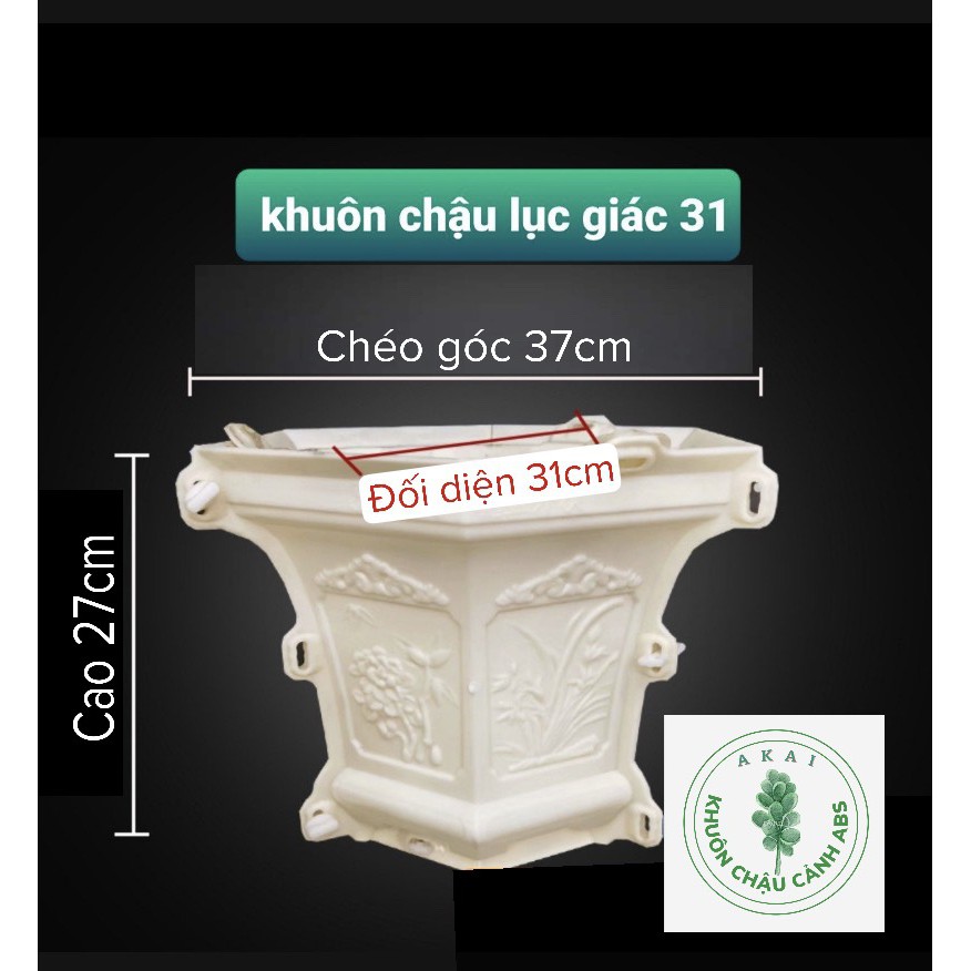 Khuôn đúc chậu lục giác 31 (khuôn chậu ABS có lòng trong