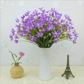 Hoa thuỷ tiên loai đẹp
