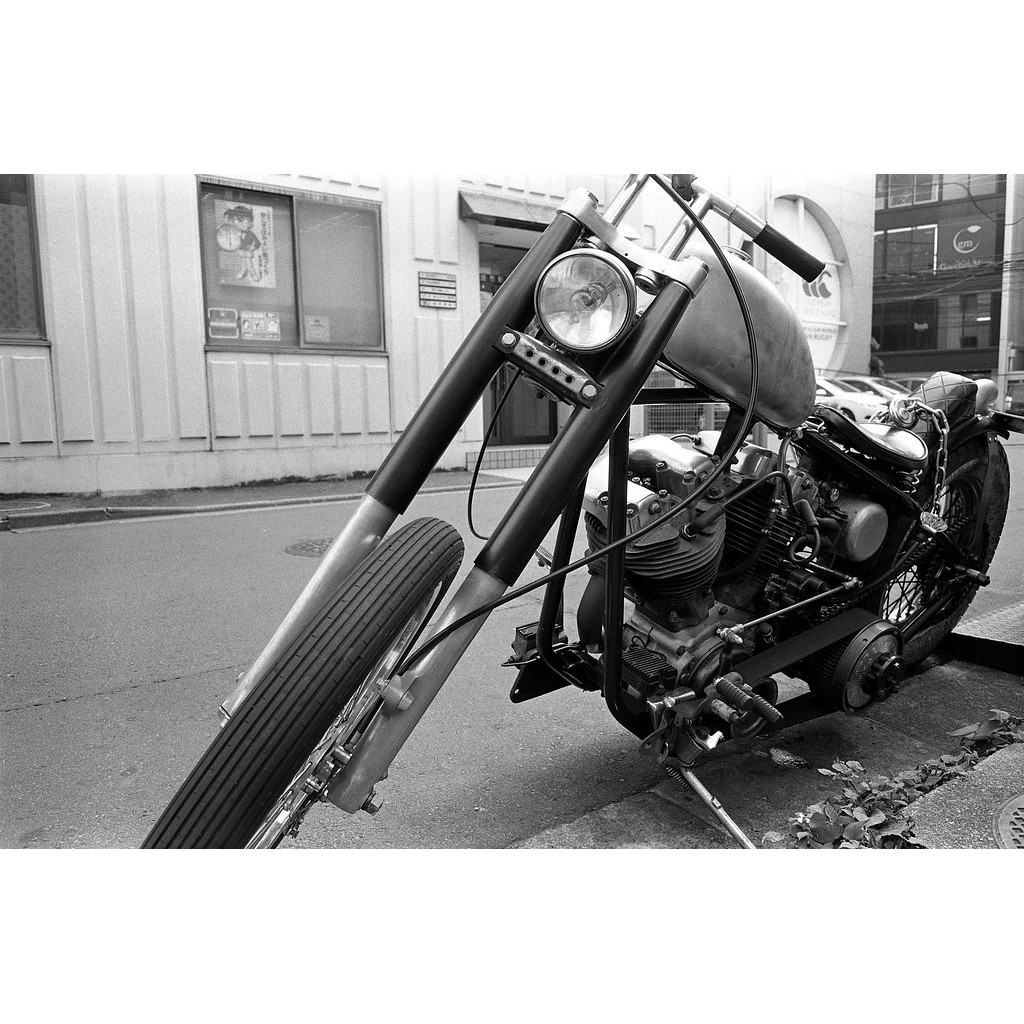 Fomapan Classic 100 36exp date 03/2026 bao bì mới film 35mm film trắng đen BW