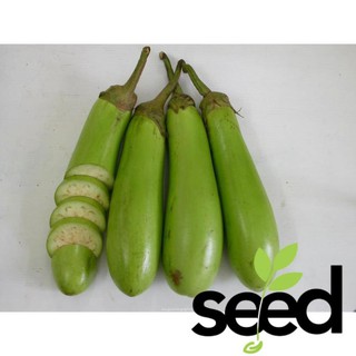 1G - Hạt Giống Cà phổi Sọc Lem Lai