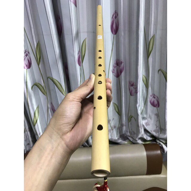 Sáo trúc 10 lỗ (tone tùy chọn)  [FREE SHIP]