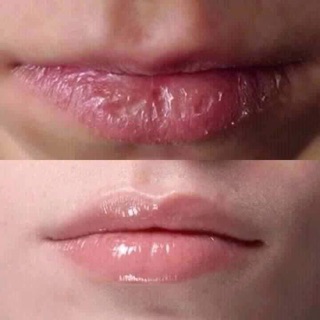 Son Dưỡng Mỡ Hươu 3g(loại nhỏ và loại to)
