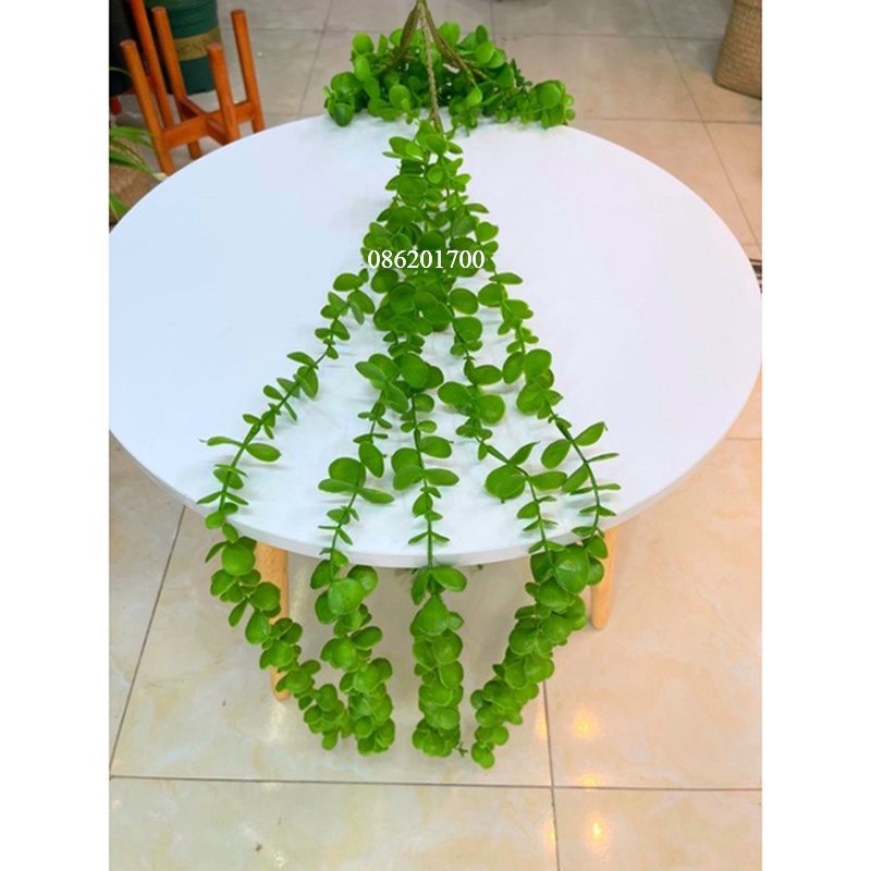 Dây lá giả - dây cúc tần giả (1m) cao cấp decor, trang trí nhà cửa, cửa tiệm, ban công...