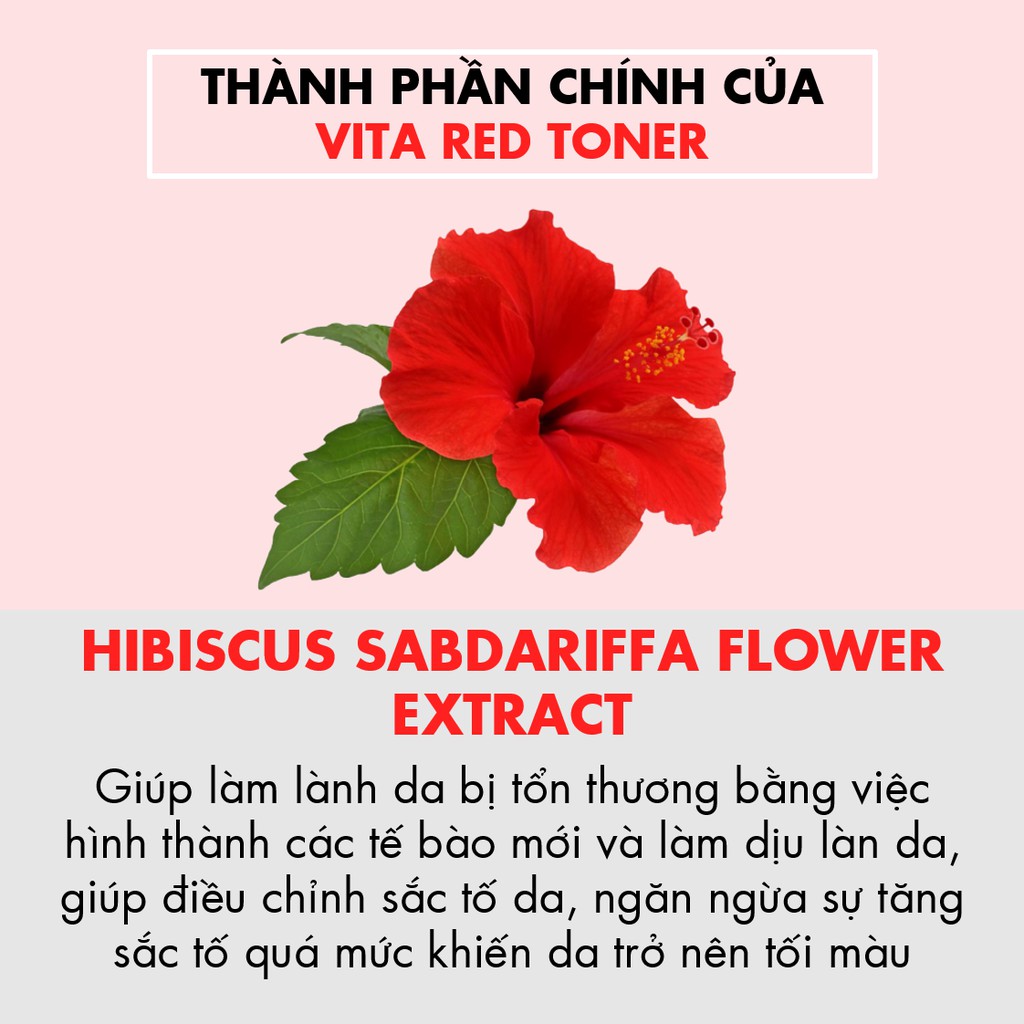 Nước cân bằng Tiam My Signature Vita Red Toner