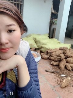BỘT SẮN DÂY 1kg nhà làm