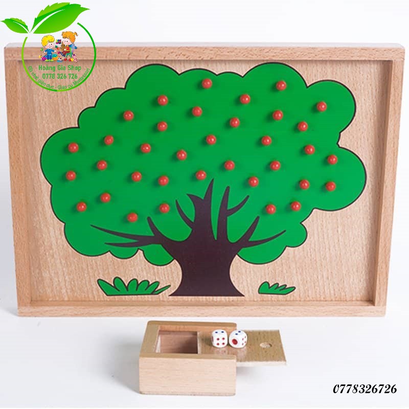 Bài học đếm táo Montessori (Apple counting tree exercise)