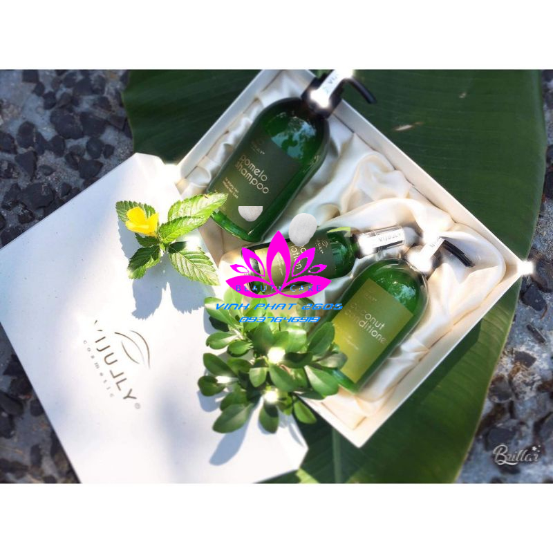 *Mẫu Mới*[CHÍNH HÃNG] ComBo Vijully 3in1 Bộ Dầu Gội và Kem Xả Bưởi và Tinh dầu bưởi Cao Cấp có hộp
