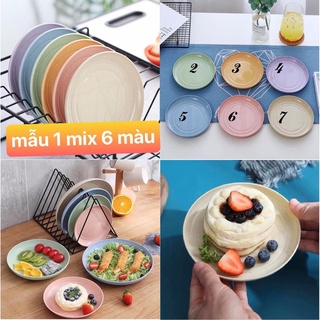 Set  6 Đĩa Lúa Mạch Dạng Tròn
