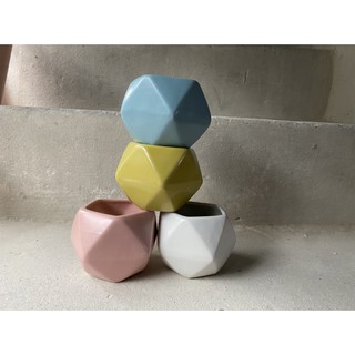 Chậu trồng cây mini, cây sen đá