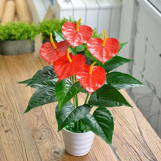 Cây giả - Cây Hồng Môn Yến nhựa Pvc (không kèm chậu)