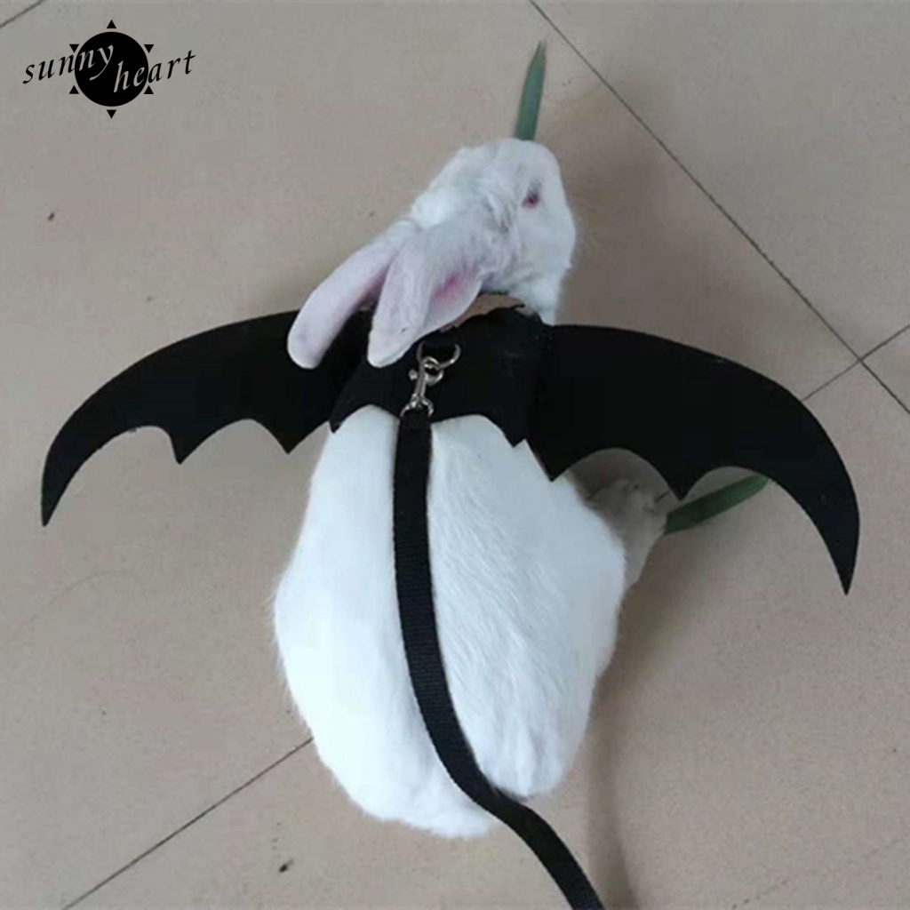 1 Bộ Dây Xích Và Đôi Cánh Dơi Siêu Nhẹ Hóa Trang Cho Thú Cưng
