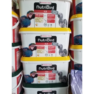 Bột A21 và A19 thùng 3kg