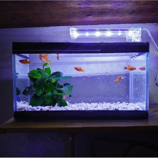 Bể cá mini 25 cm với 4 món (bể, sỏi nền, đèn led, thức ăn cá)
