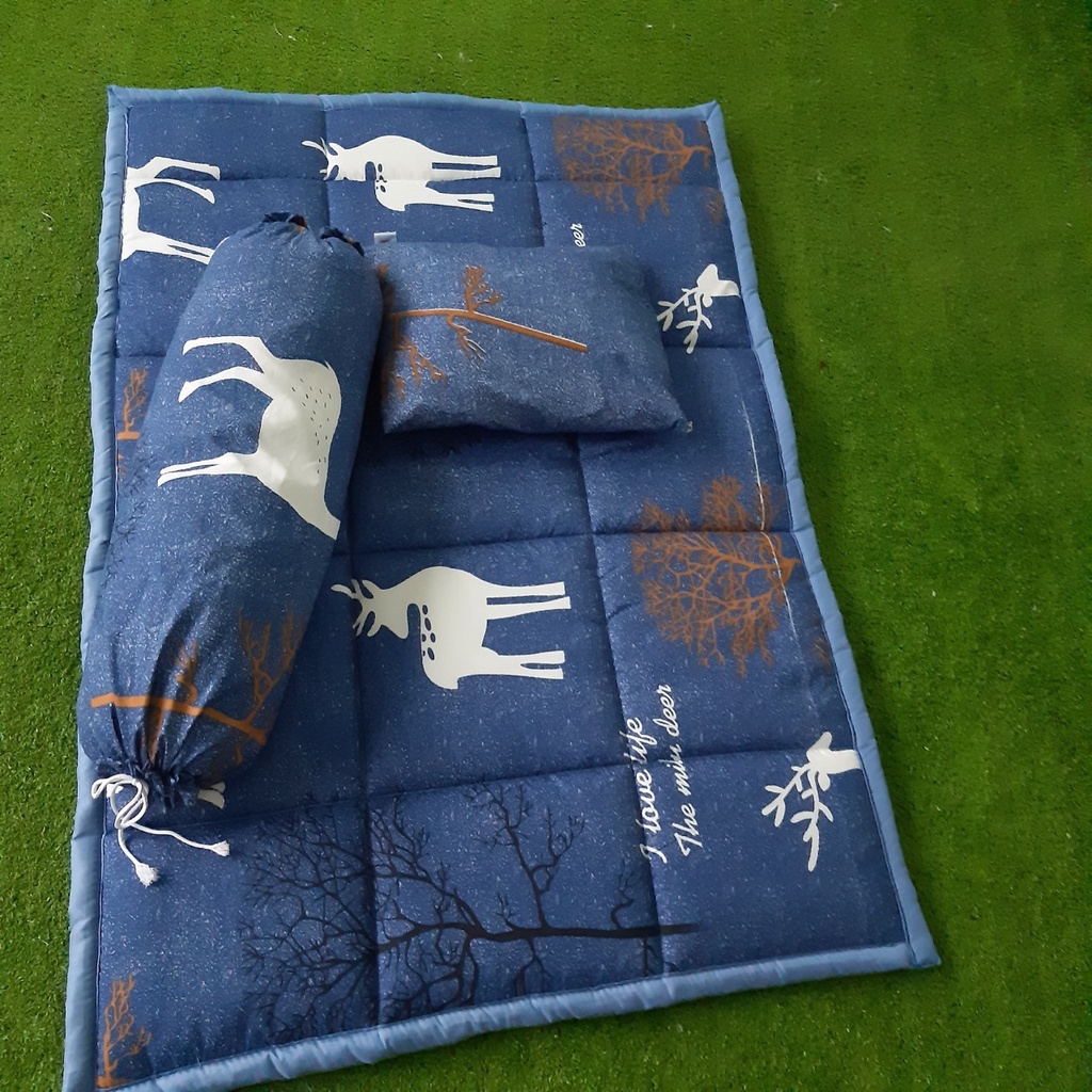 Bộ Drap 4 món ga gối 1m/m2/m4/m6/m8 - màu ngẫu nhiên