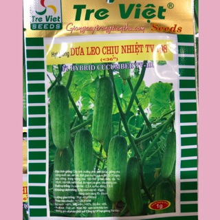 HẠT GIỐNG DƯA LEO CHỊU NHIỆT TV-108 (1gr)