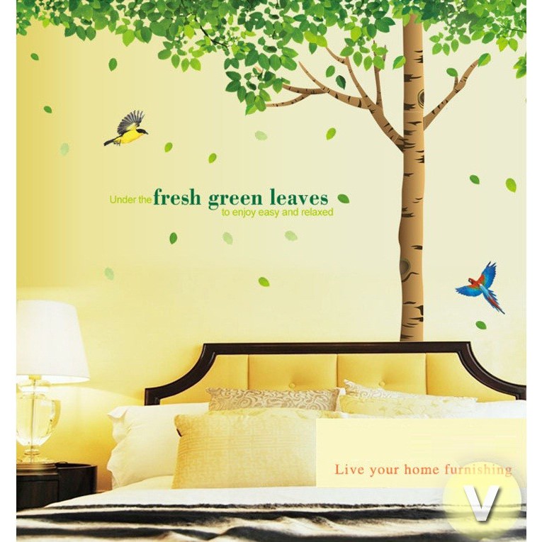 Decal dán tường Cây cổ thụ size to