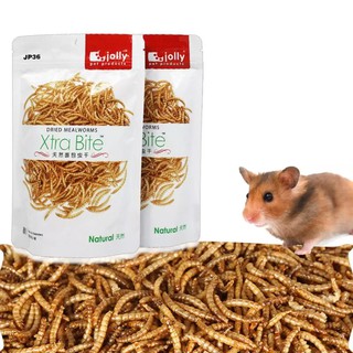 Sâu sấy khô Jolly 60g nhập khẩu cho hamster - sóc - chuột