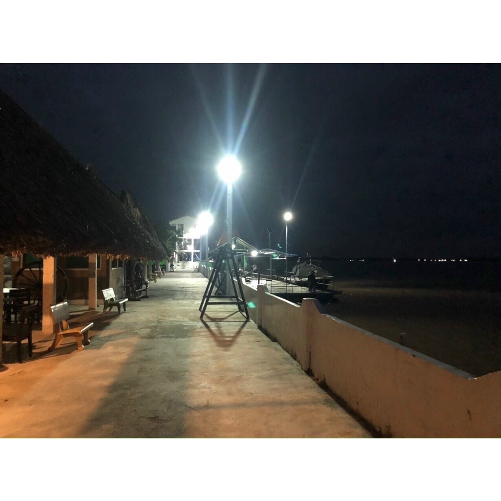 Đèn bàn chải công trình năng lượng mặt trời siêu to, siêu sáng Mayor Wolf tấm pin NL 80W hàng chính hãng bảo hành 2 năm