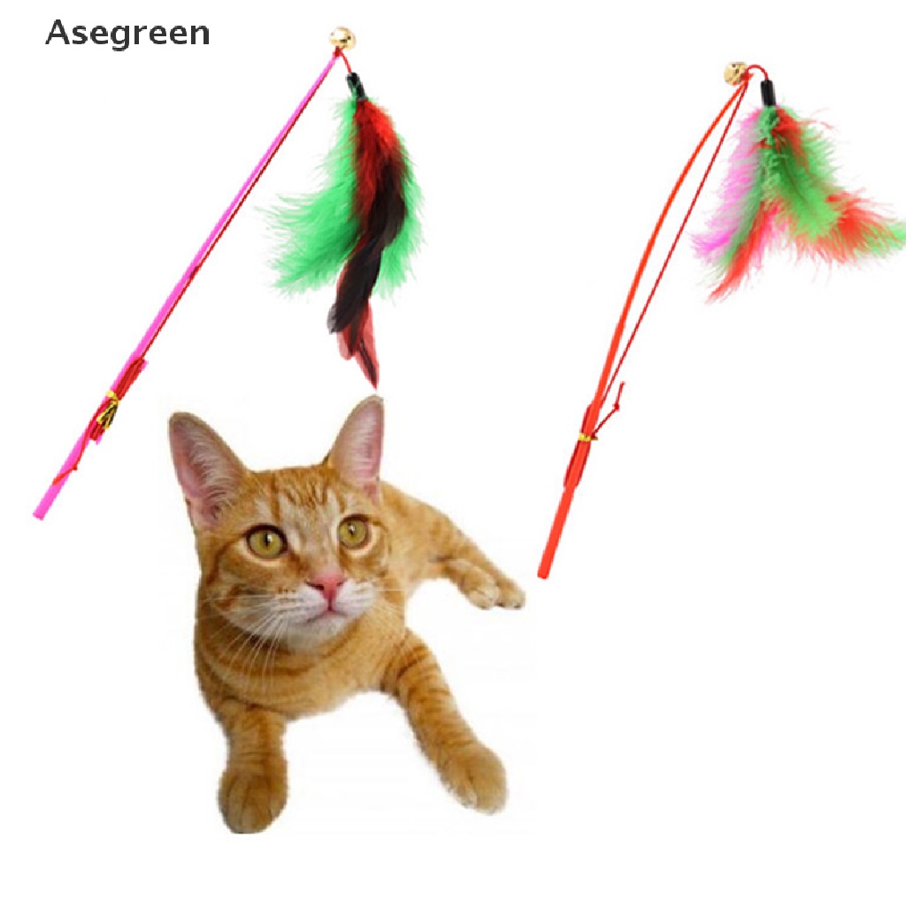 Đồ chơi lông vũ lắc chuông nhiều màu dây co giãn vui nhộn cho mèo cưng