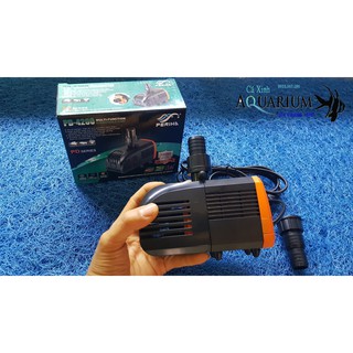 Máy bơm nước PERIHA PD 4200 10W siêu tiết kiệm điện