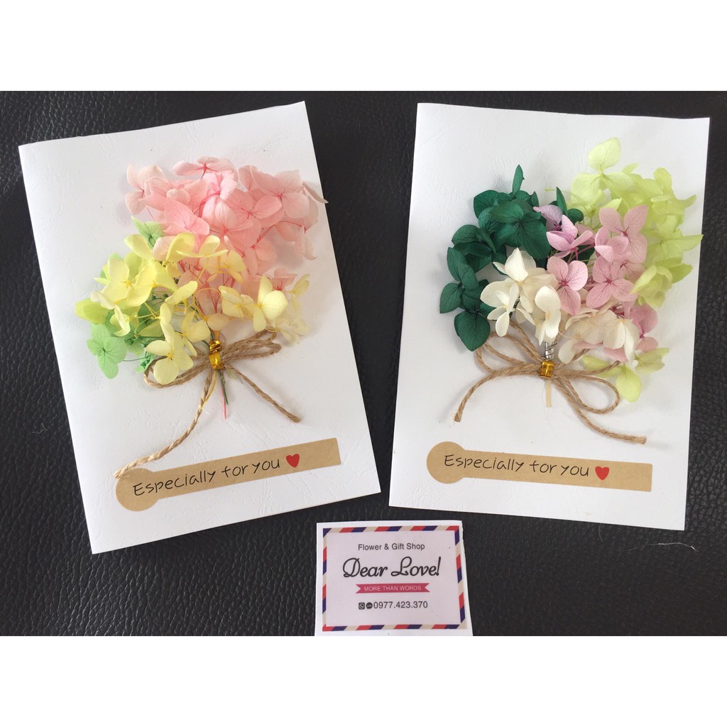 THIỆP HOA BABY KHÔ NHIỀU MÀU