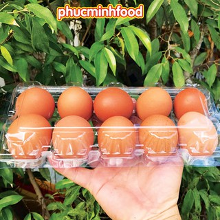 Vỉ trứng gà 10 trứng (giao nowship sai gòn)