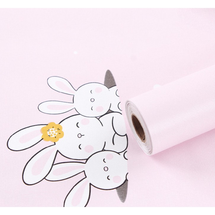 DECAL 1M Giấy dán tường KHỔ 45CM có sẵn keo - NHIỀU MẪU THIẾU NHI HEB6545