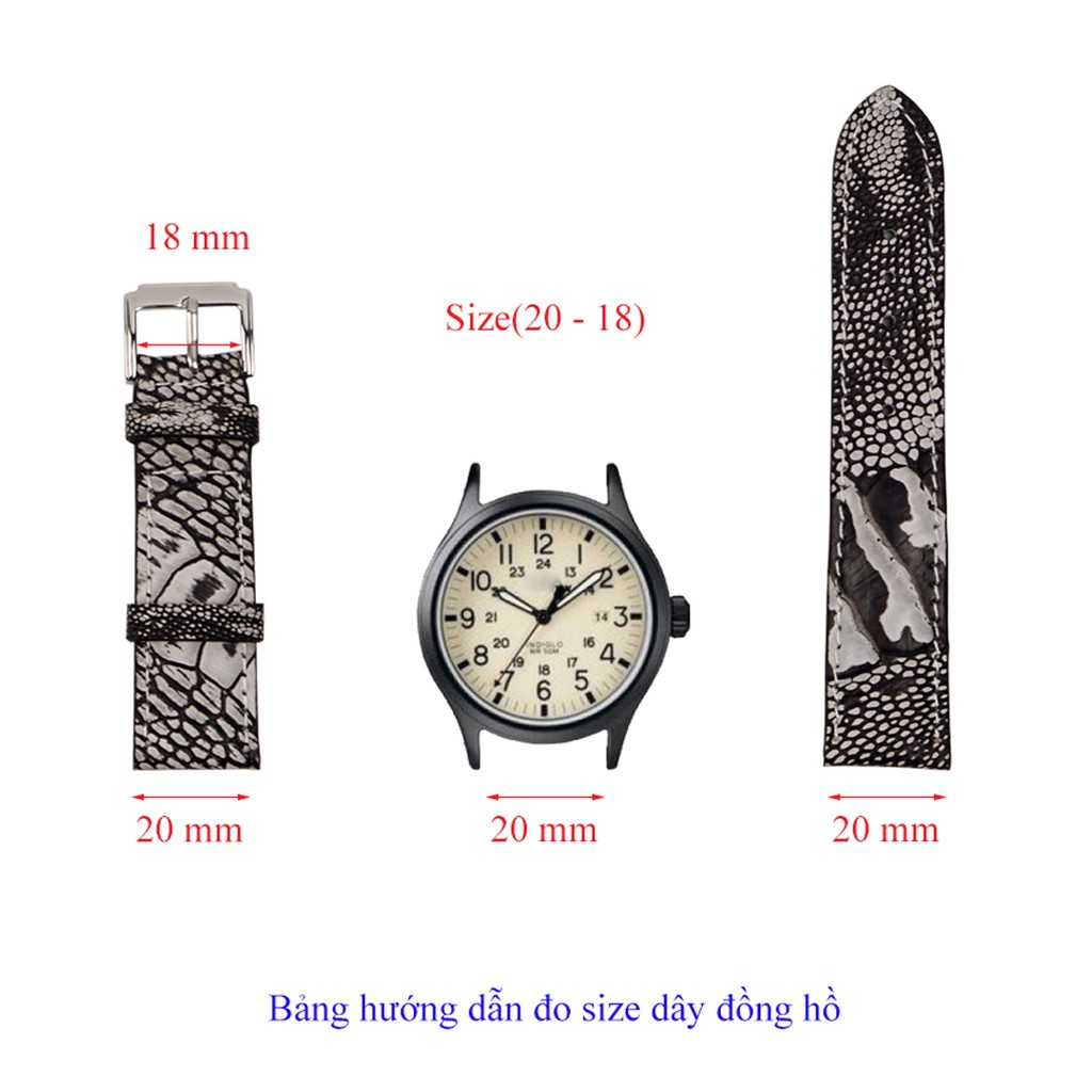 Dây Đồng Hồ Da Đà Điểu Wash MrFour + Bộ Khóa  + Dụng cụ Tháo Lắp | Ostrich Leather Watch Bands