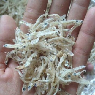 Cá Cơm Sữa - Cá Mờm - Chất Thịt Ngon Bổ - Dễ Chế Biến 0.5-1kg