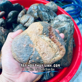 SỎI CỘI VÂN MÂY- CỘI SUỐI 1KG