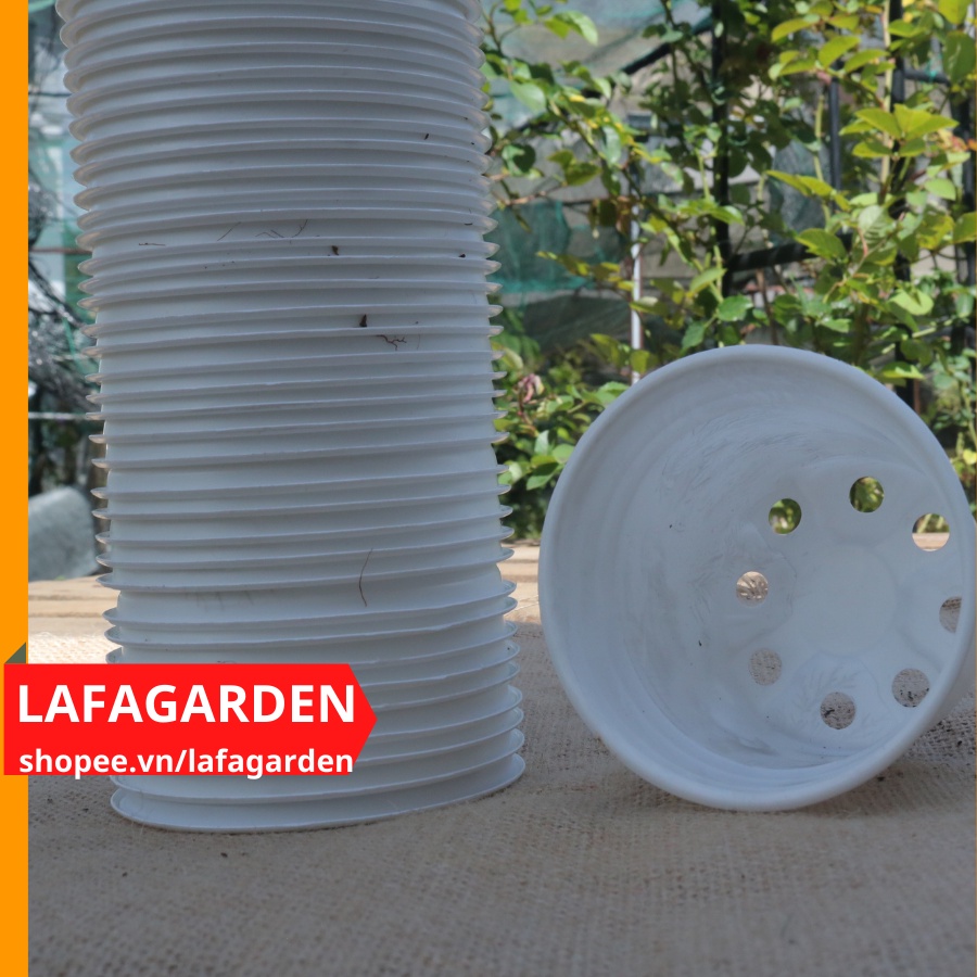 Chậu trồng sen đá (105x80mm) giá sỉ 1 bao 700 cái
