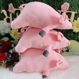 GẤU BÔNG HEO LƯỜI 50CM