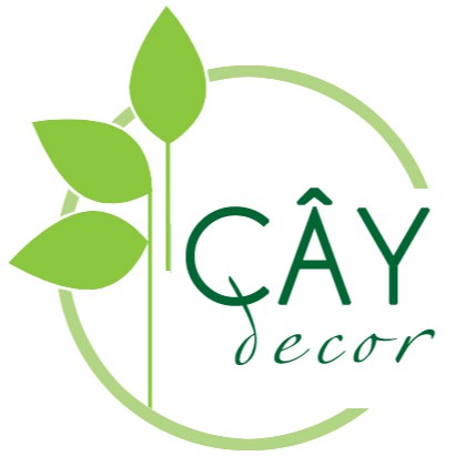 Cây Decor
