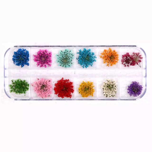 Set hoa khô nail 12 màu