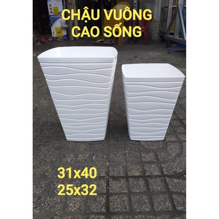 Chậu nhựa vuông cao sóng