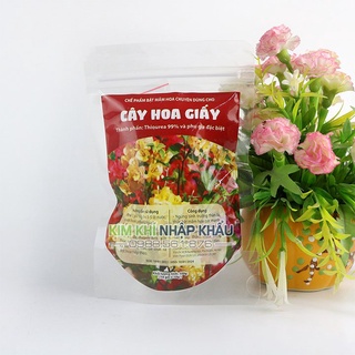 Phân bón kích ra hoa cực mạnh cho hoa giấy – T191