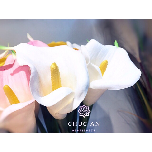 Cành hoa rum cao su cao cấp size lơn 60cm nhiều màu - HN