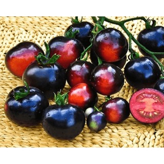 Hạt Giống Cà Chua Bi Đen Dễ Trồng
